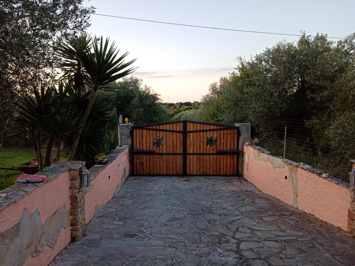 Villa Relax Tra Gli Ulivi Альгеро Экстерьер фото