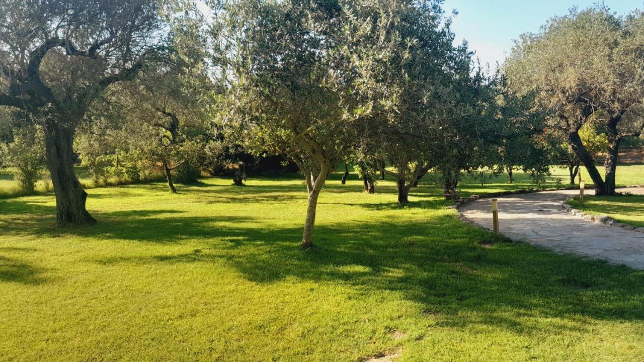 Villa Relax Tra Gli Ulivi Альгеро Экстерьер фото